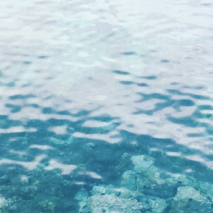 AndreeMartis's tweet photo. 💦 https://t.co/Ju16PC0TiQ https://t.co/fvyPzWT47t