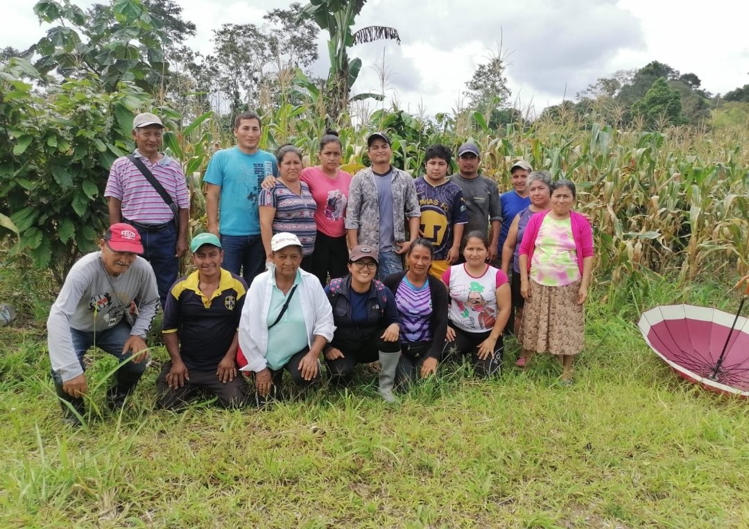 ProyectoAtpa's tweet photo. #SUCUMBIOS mediante el proyecto #ATPA realizó la capacitación sobre la toma de Muestras de suelo ,con las #ECAS en convenio con #PROAMAZONIA-#IICA, para la Asociación Agroproductiva San Pedro del Cóndor Parroquia 10 de Agosto Cantón Lago Agrio Provincia de Sucumbíos https://t.co/H1j9ZoBZCN