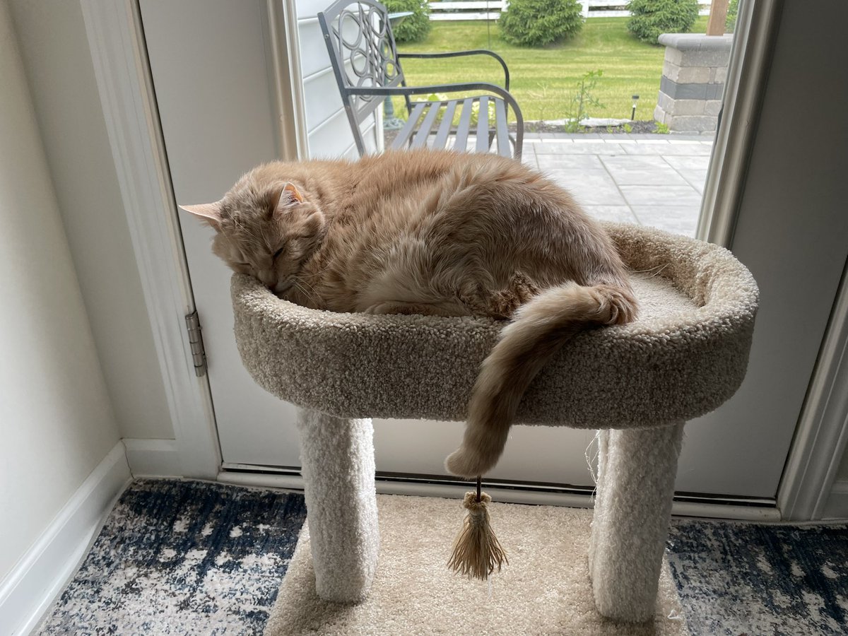 riley_fat's tweet photo. Got tired watching the birds… https://t.co/TCdlqLYmzl