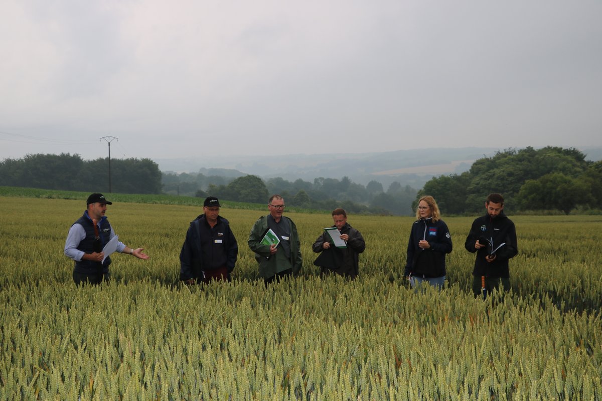 La Source Bretagne tweet media