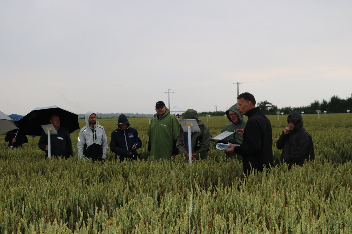 La Source Bretagne tweet media