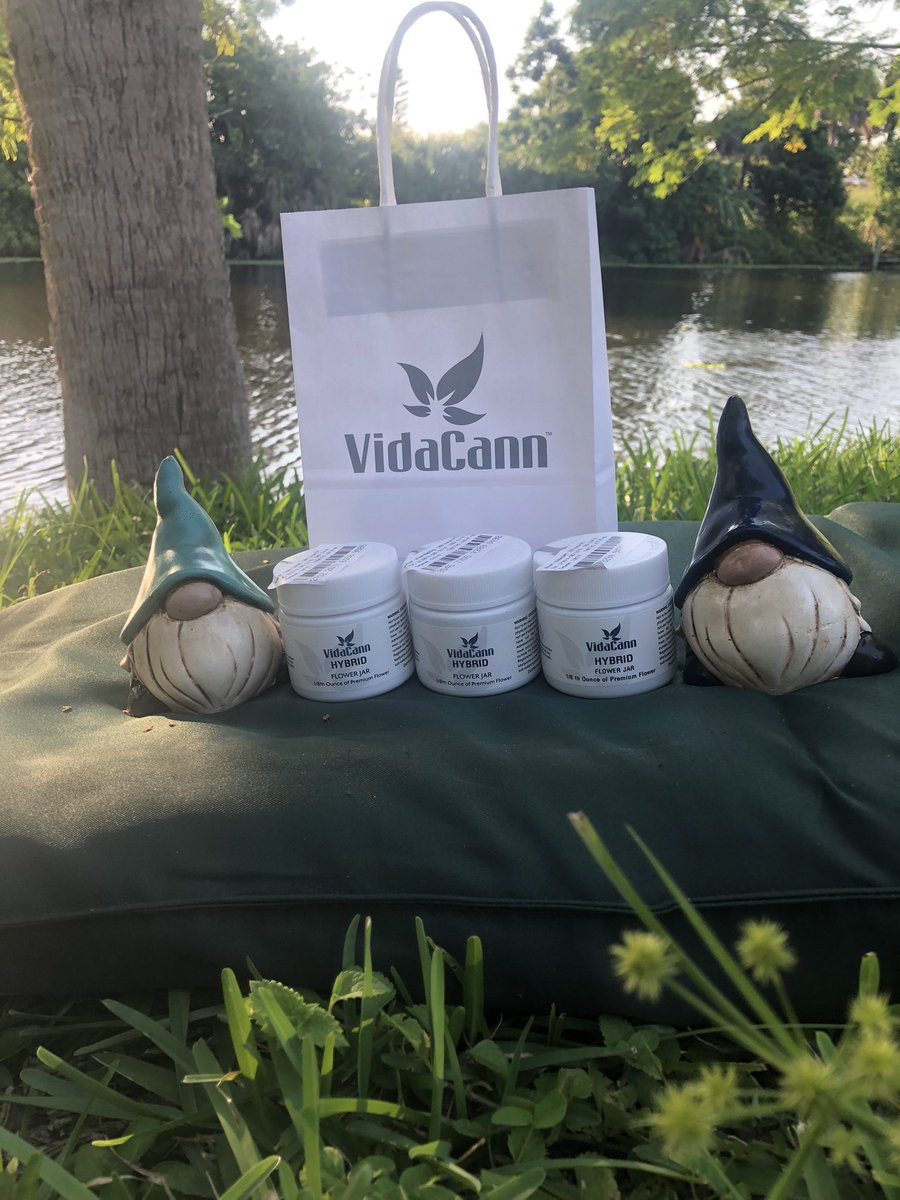 Tokingtim420 tweet media