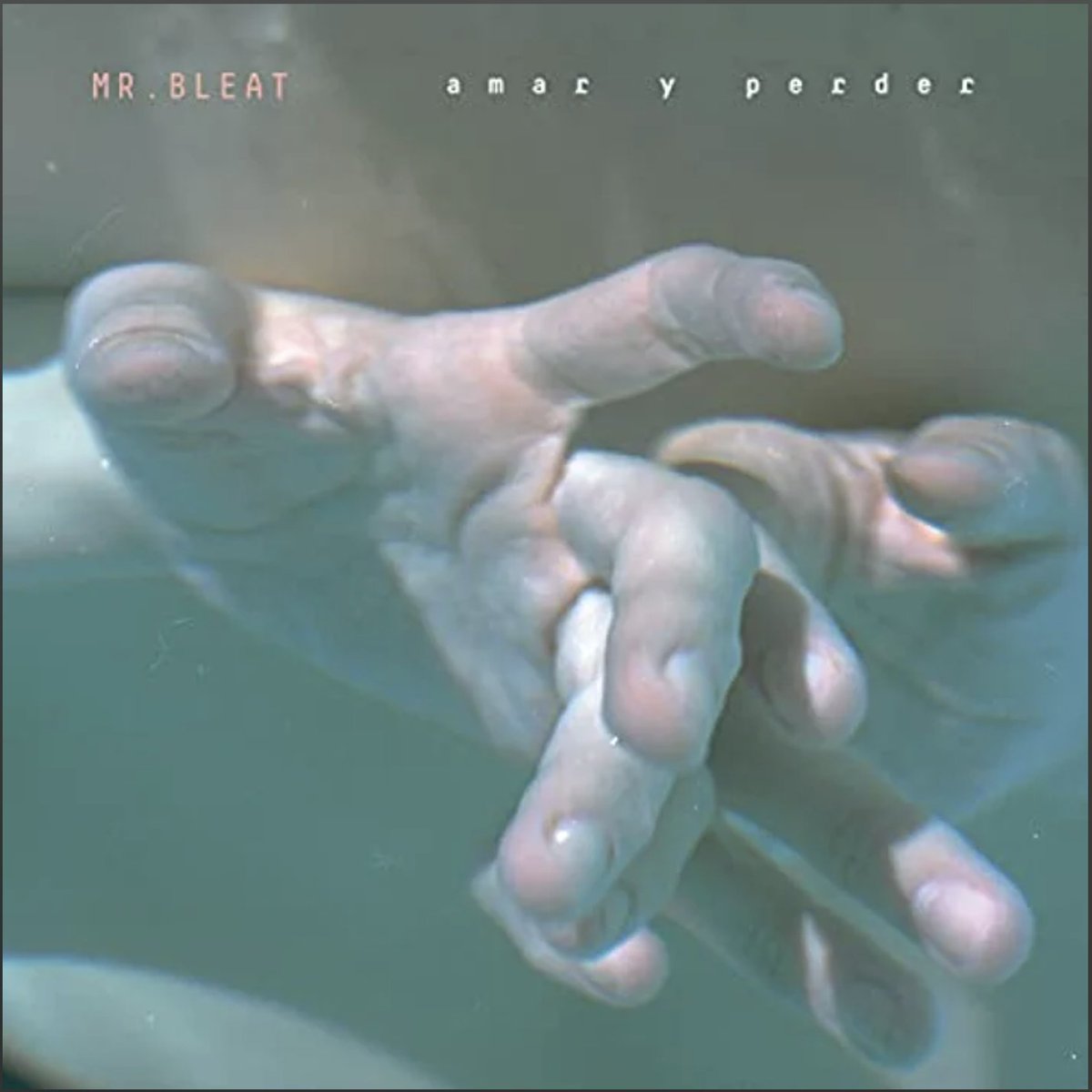 Indie Rocks! tweet media