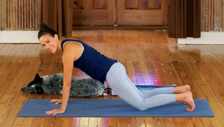 yogawithadriene's tweet image. New video from Adriene on Find What Feels Good! This practice is a hug for the soul. Hop into something comfy and strike up a compassionate convo with yourself today.

#findwhatfeelsgood #yogawithadriene #yoga  

fwfg.com/programs/compa…