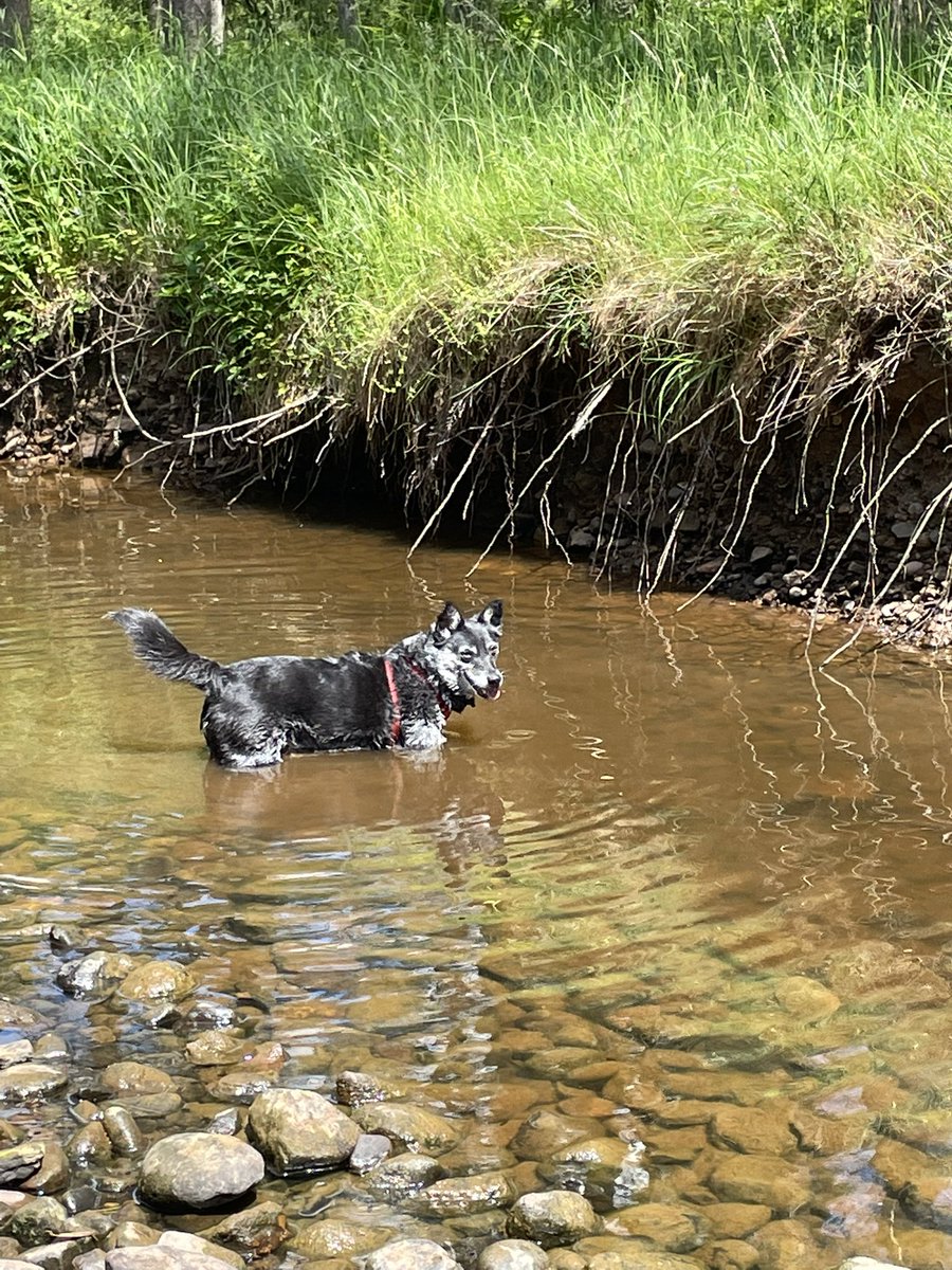 Northumberland is stunning - just back from a week camping in Bellingham- just bliss (but exhausting as so many hills, unlike Norfolk🤣) xx
