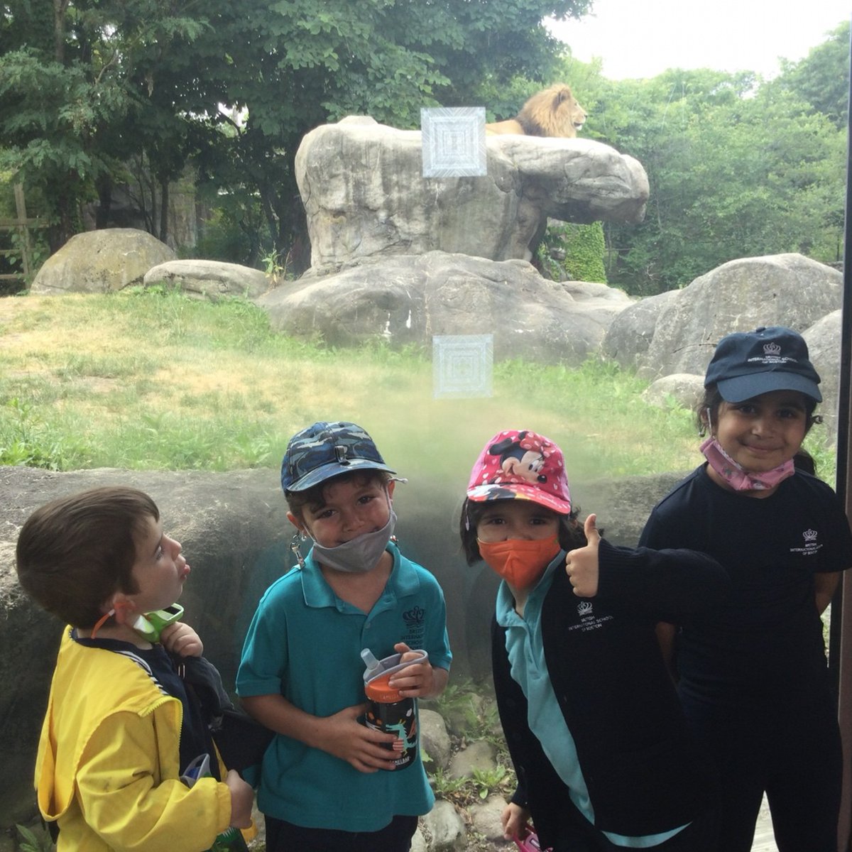 BISB_School's tweet photo. #BISB Reception students had a great trip to Franklin Park Zoo this week! The children loved looking at the different animals that they have been learning about in class. Some of their favorite animals were the giraffes, snakes, and camels! 😀
#Bostonschool #Bostonfamilies https://t.co/jSmxL0073r