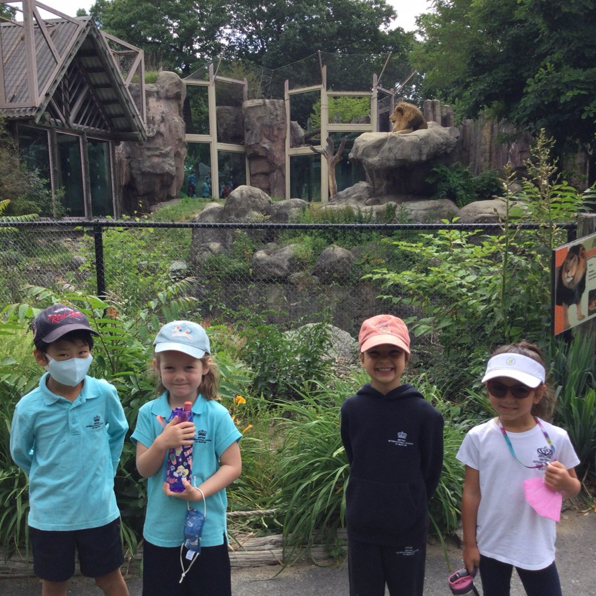 BISB_School's tweet photo. #BISB Reception students had a great trip to Franklin Park Zoo this week! The children loved looking at the different animals that they have been learning about in class. Some of their favorite animals were the giraffes, snakes, and camels! 😀
#Bostonschool #Bostonfamilies https://t.co/jSmxL0073r