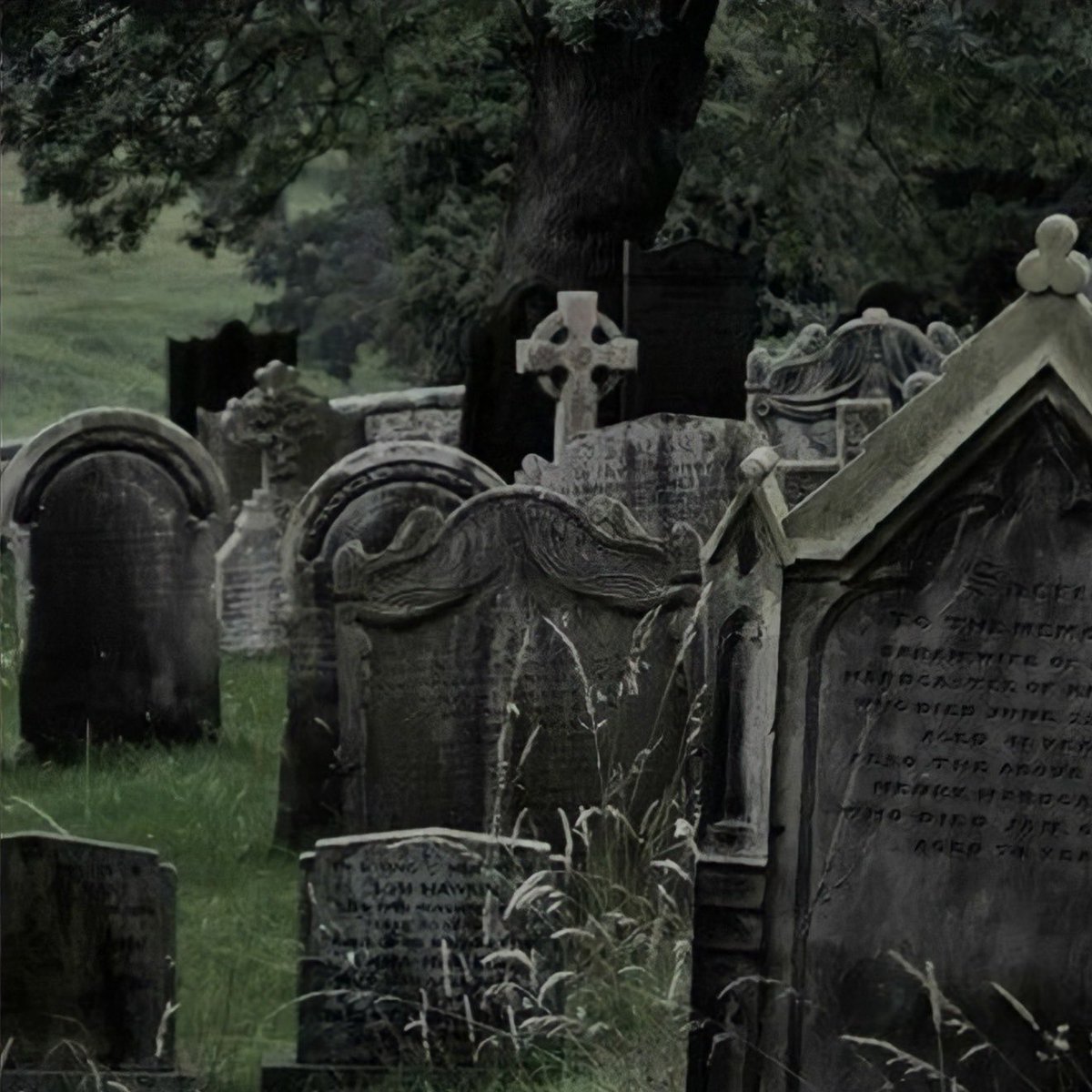 hola ! somos un nuevo cc medio choto de terror que se dedica a subir hilos y a hacer dinámicas; también hablamos de otros temas como anime, libros, películas, kpop, etc.

🕷rt para llegar a más gente !