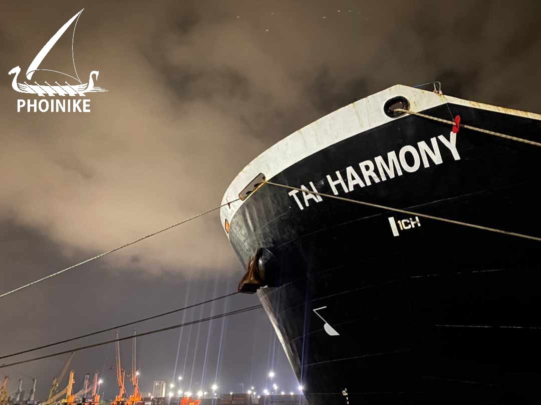 Phoinike (Phoinike_Global) / Twitter