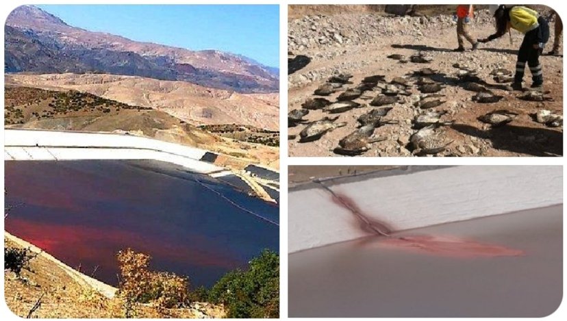 RecepKalbur's tweet photo. Erzincan İliç'te çok büyük bir çevre felaketi yaşanıyor. Anagold tarafından işletilen altın madeninde 20 ton siyanür Fırat' a karıştı. Uyarıları kimse ciddiye almadı. Bu felaket karşısında ne bir haber ne de bir yetkilinin demeci var. Derhal bu katliama dur denmeli. https://t.co/W0mPKC7ClM