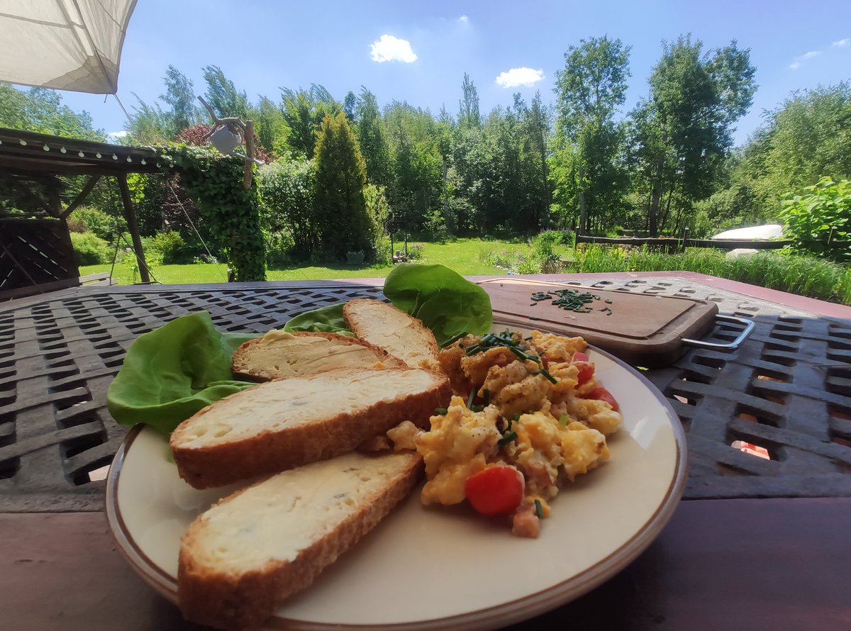 LadyRusinCook's tweet photo. One of the goals of life is pleasure among nature;)

delicious scrambled eggs with chives from the garden;))))

#delicious #scrambledeggs #plot #yummy https://t.co/JMK856H6W4 https://t.co/debcZf8s79