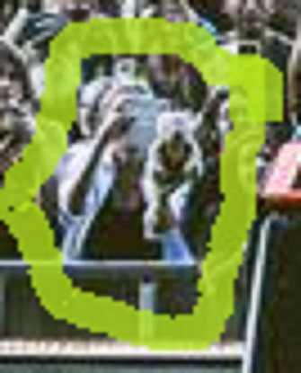 Suzanne L. Beenackers tweet media