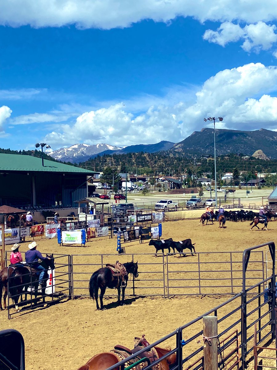 FredlundSofia's tweet photo. Team penning and sorting all weekend 🏔🐴 #ustpa #estespark #colorado https://t.co/04Pqx5te8J