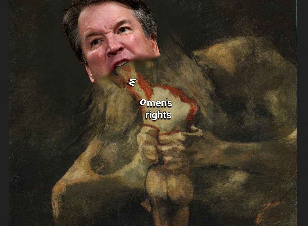 fedaykinposting's tweet photo. #RoeVWade https://t.co/pVkp2sM2pd