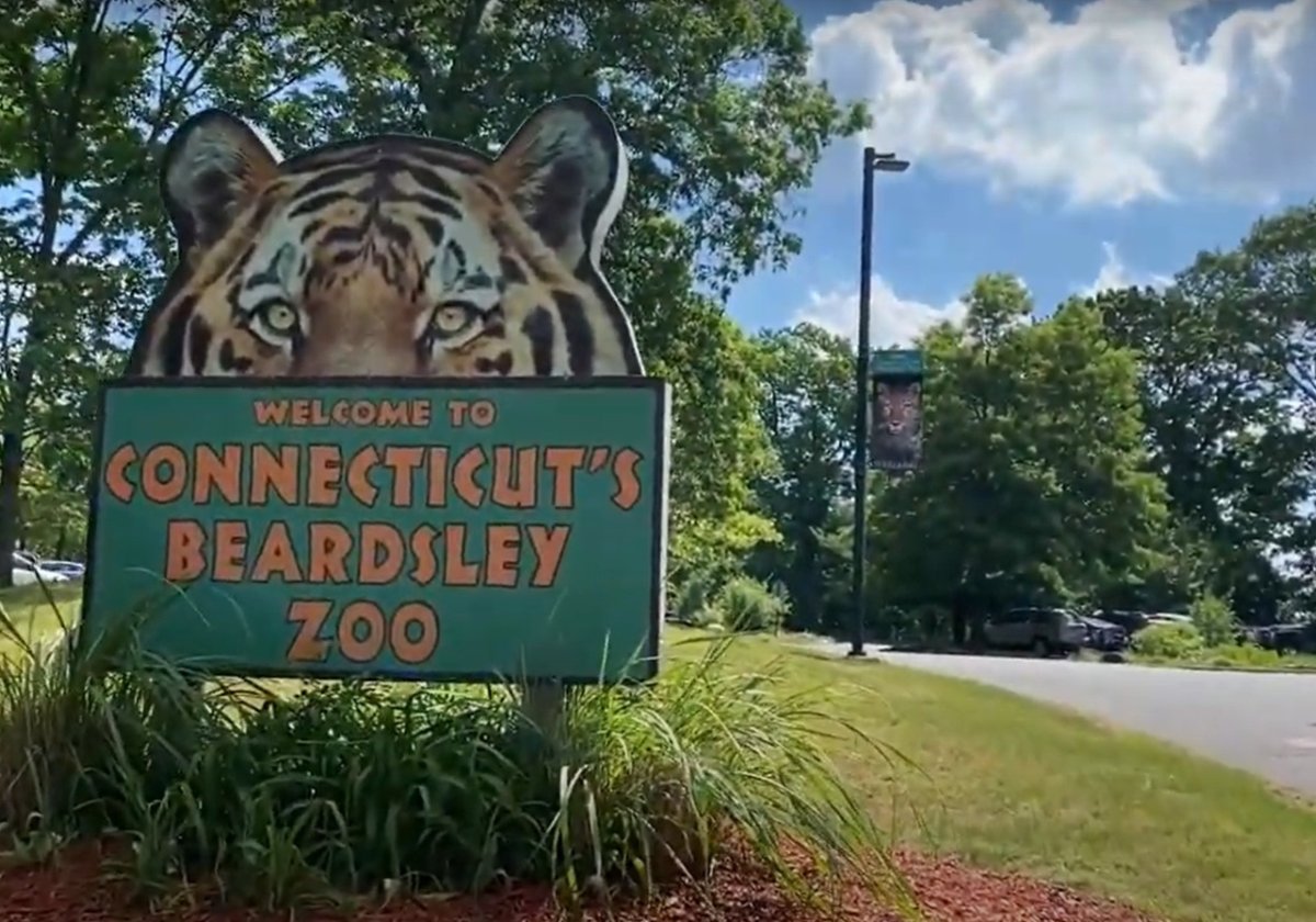 The <a href="/CTBZoo/">CT's Beardsley Zoo</a> turns 100! Celebrate tomorrow at their Centennial Celebration with live animal encounters, live music, a b-day party giveaway and much more! Details: bit.ly/3yhtgJW