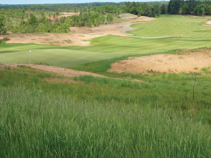 GCM_Magazine's tweet image. How well do you recognize the differences between the fine fescues on your course? Learn how to classify these turfgrass types to capitalize on each of their strengths.
bit.ly/2EmqKZm @GCSAA