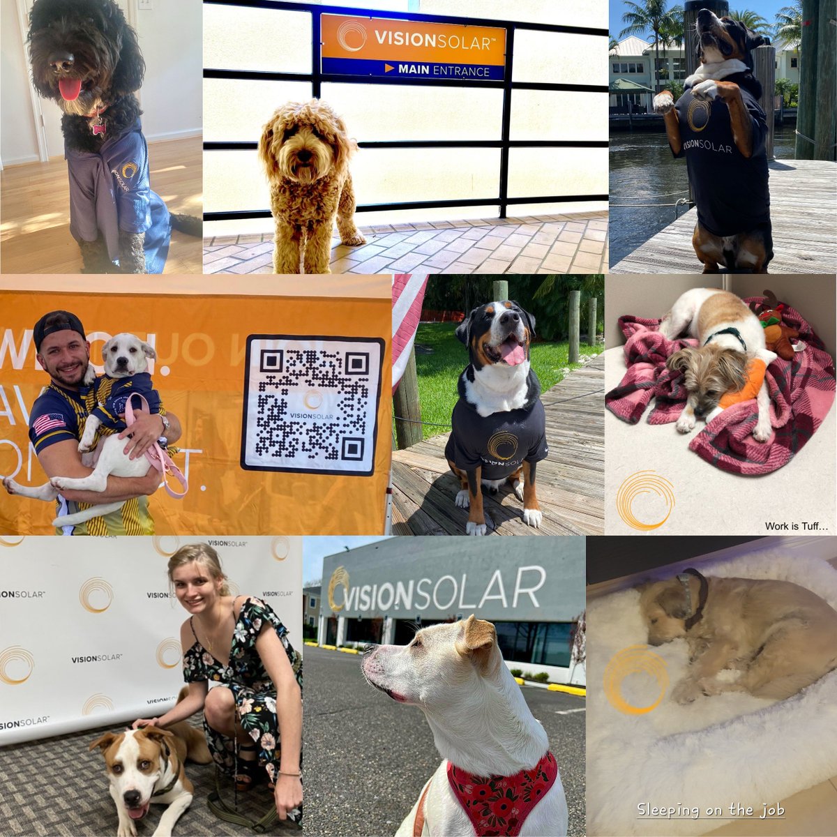 VisionSolarllc's tweet photo. Renewable energy is a sustainable lifestyle for your family, including your furry members. More savings with #solarenergy means extra money for treats and toys! 🦴
Request your FREE solar assessment: https://t.co/tQ2ApPJqRq or call (215) 798-5418 today! 
 
#doglovers #solarpower https://t.co/GRzjjcOJy3