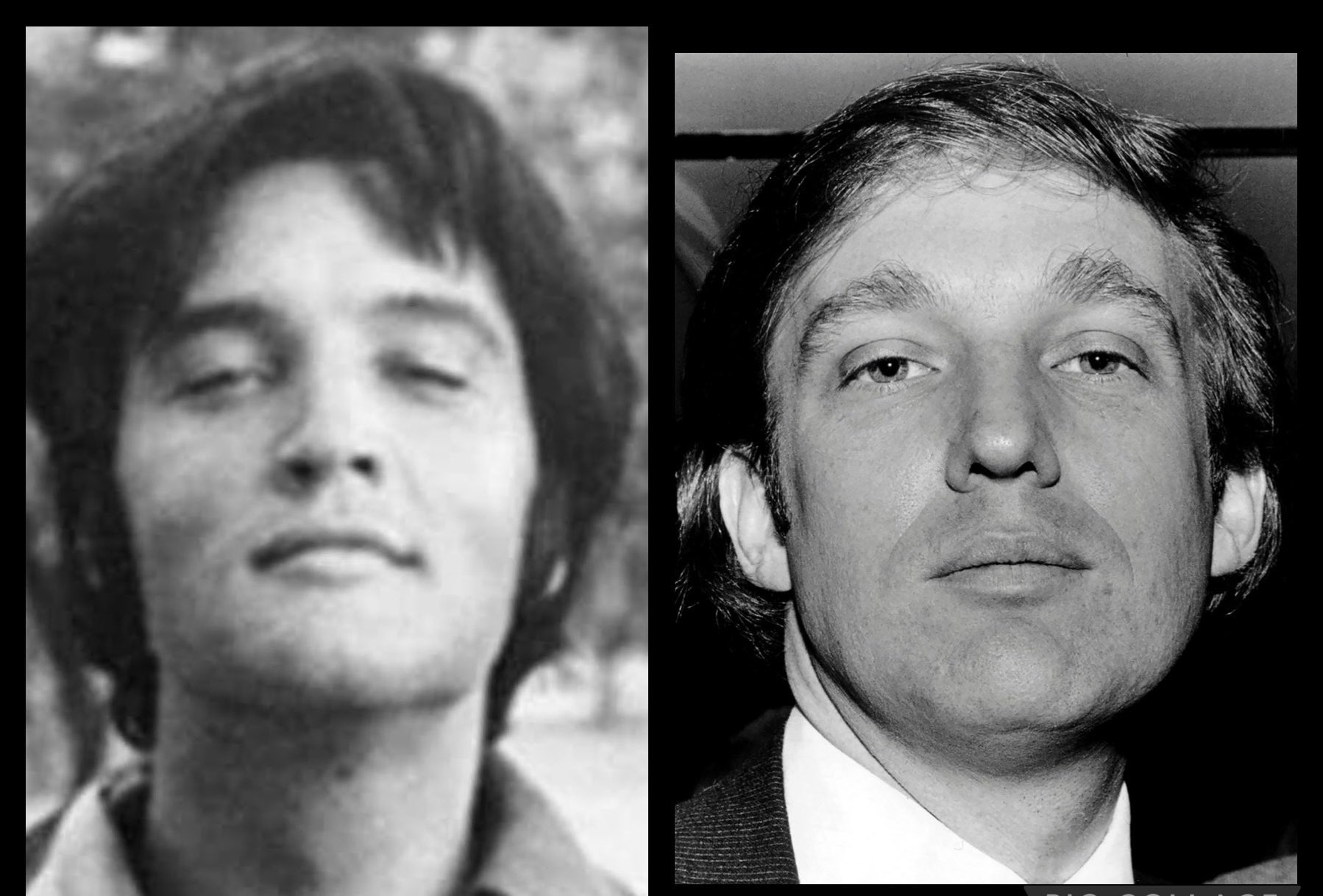 on-twitter-elvis-is-not-bob-in-alabama