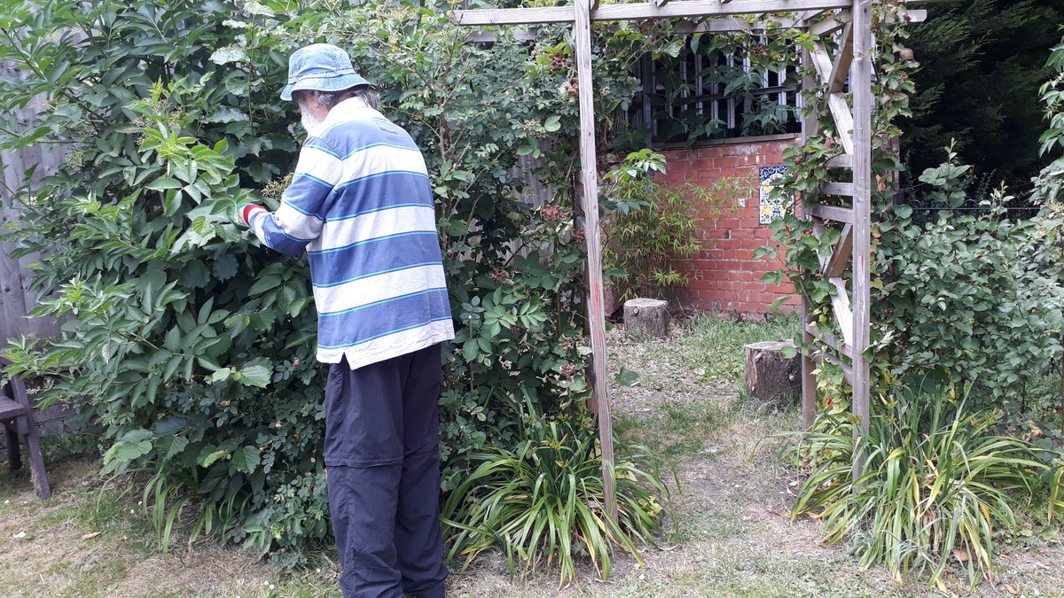 fruitnutvillage's tweet photo. Caring for our #ForestGarden @stirchleybaths and @StirchLibrary today. #Bladdernut #SakhalinCurrant https://t.co/gELxnmD8lt