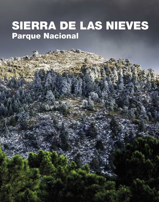 Muy agradecido a @javiquezruiz y @GaloisioA por su invitación a la presentación del libro “SIERRA DE LAS NIEVES PARQUE NACIONAL”, edición muy cuidada de Lunwerg (Planeta) con la colaboración, entre otros, de @MedioAmbAND y los municipios de la Sierra de las Nieves. Recomendable.