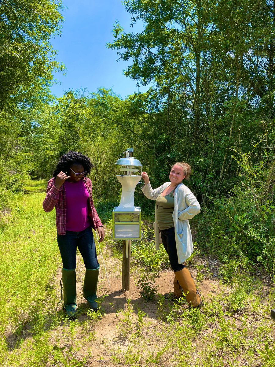 BlesynePhunmie's tweet photo. Summer is crazy busy but I love every bit of it. Some on-going projects: Evaluating Lep resistance to Bt toxin in corn. Thrips management in cotton. Monitoring lep dispersal. Insecticide trial in managing Turf pests. @UFIFASWFREC https://t.co/kLBQBTSND0