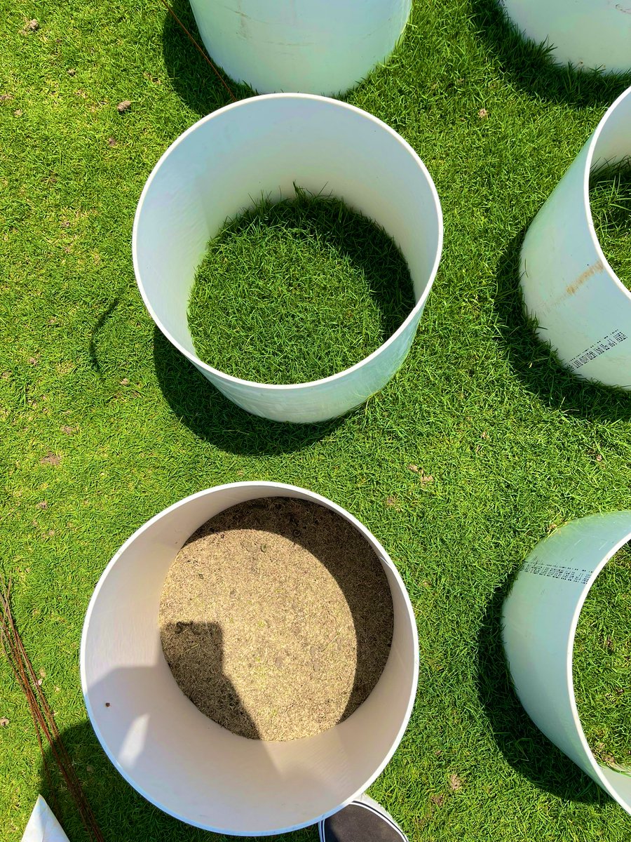 BlesynePhunmie's tweet photo. Summer is crazy busy but I love every bit of it. Some on-going projects: Evaluating Lep resistance to Bt toxin in corn. Thrips management in cotton. Monitoring lep dispersal. Insecticide trial in managing Turf pests. @UFIFASWFREC https://t.co/kLBQBTSND0