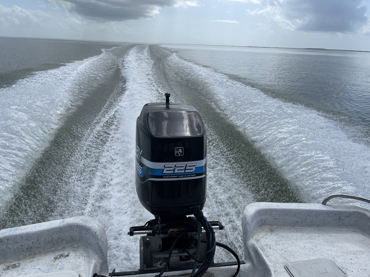 M4JSON's tweet photo. Who wants to go fishing! #saltlife https://t.co/n8WH6TALc9