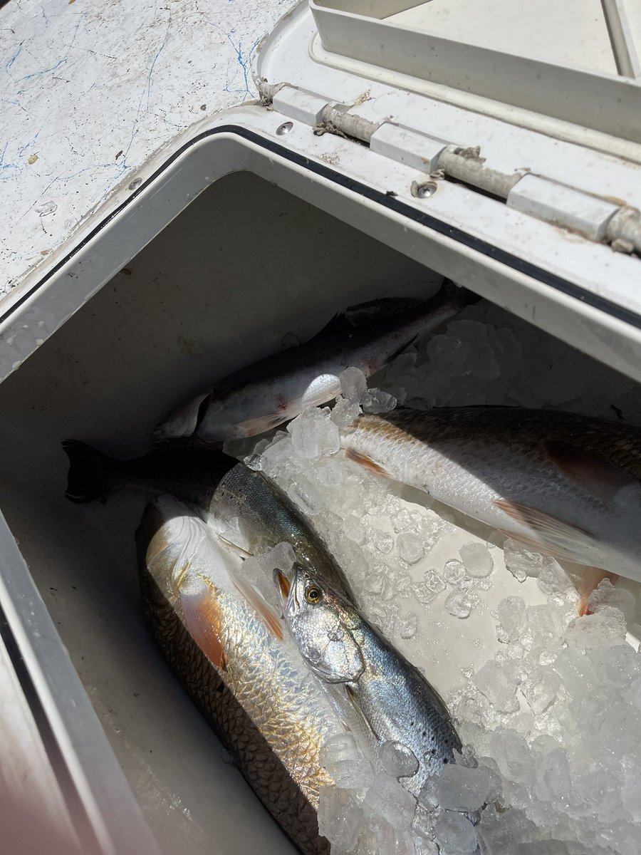 M4JSON's tweet photo. Who wants to go fishing! #saltlife https://t.co/n8WH6TALc9
