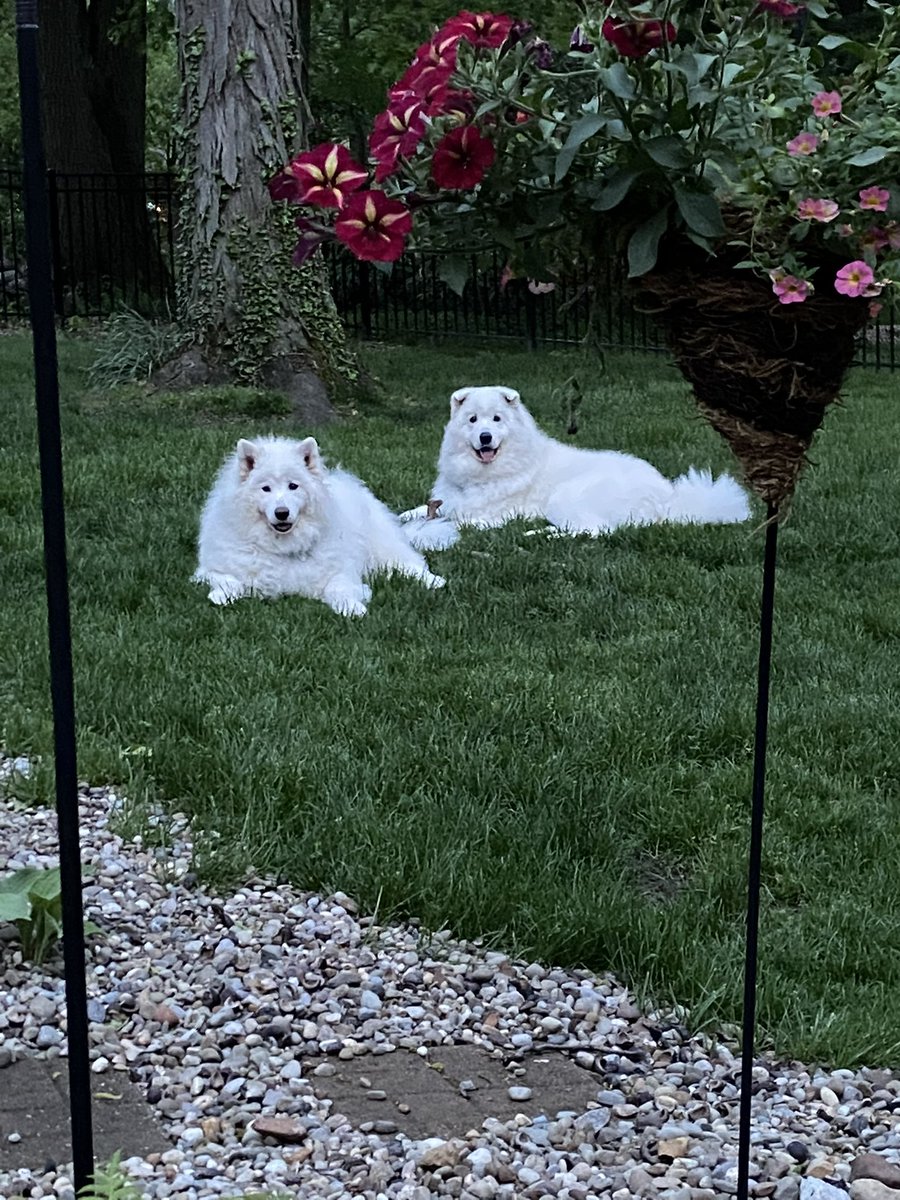 AmyFickers's tweet photo. @darth https://t.co/UFkygzUIEC