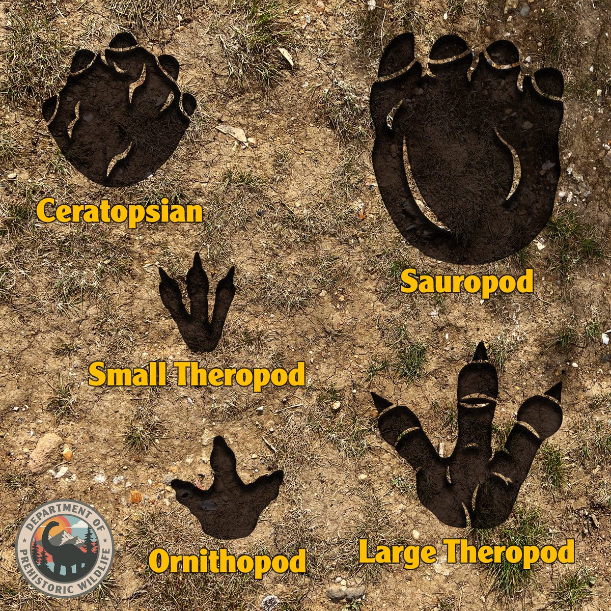 Dinotracker tweet media