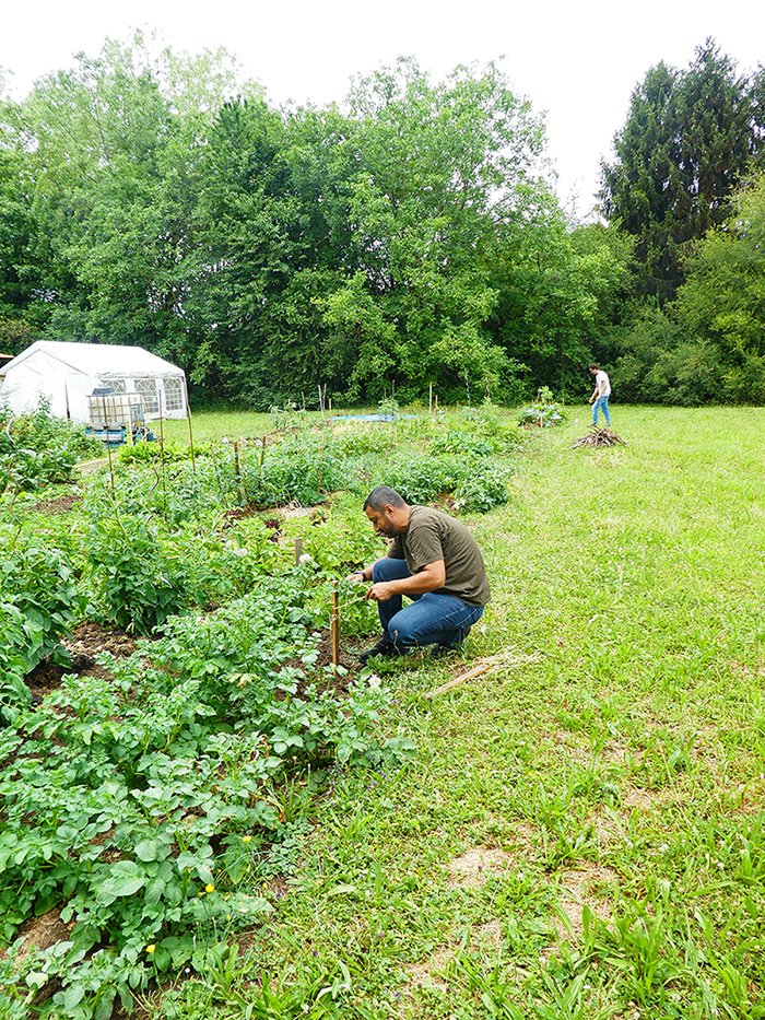 CNRS_Alsace's tweet photo. #CampusVert Le #JardinPartagé du #CampusCronenbourg a belle allure !  Il y a même une cabane à #hérisson qui attend son hôte 🦔 https://t.co/WtuhZRZInn