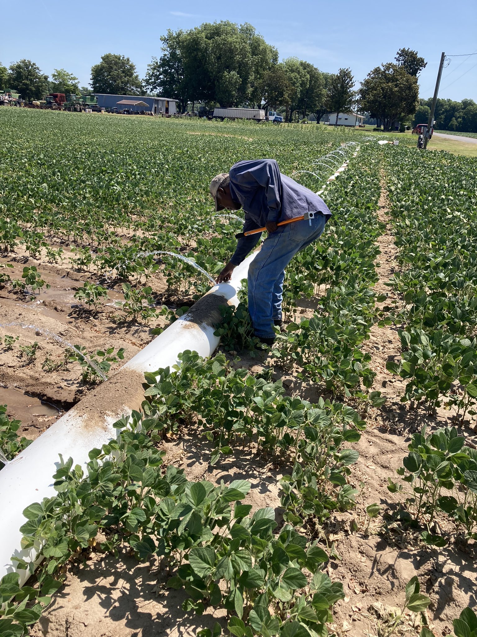 Coahoma County Extension Office (coahoma_msuext) / Twitter
