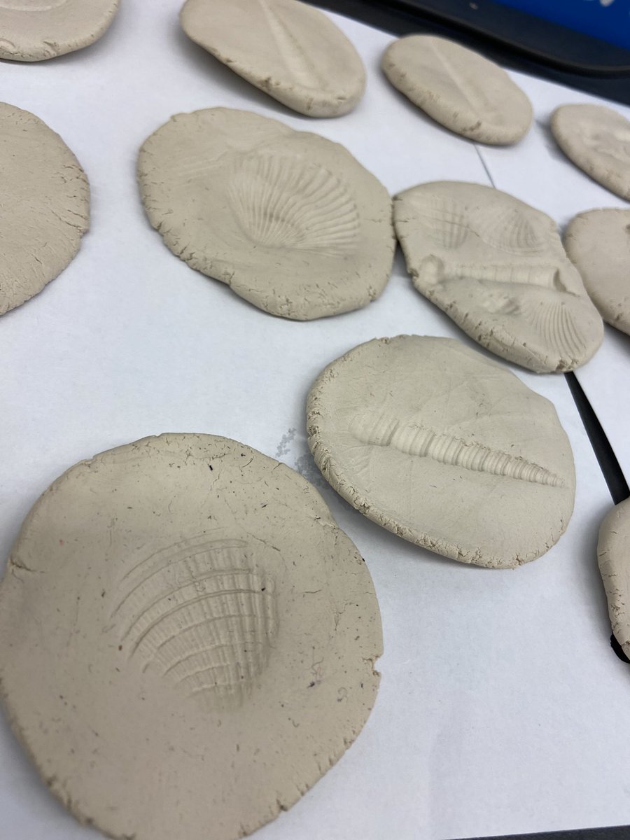 mrscadamsclass's tweet photo. Creating our own fossils #rockunit #science @RCSD_No81 @CommunityHoly https://t.co/86u8CnePFE