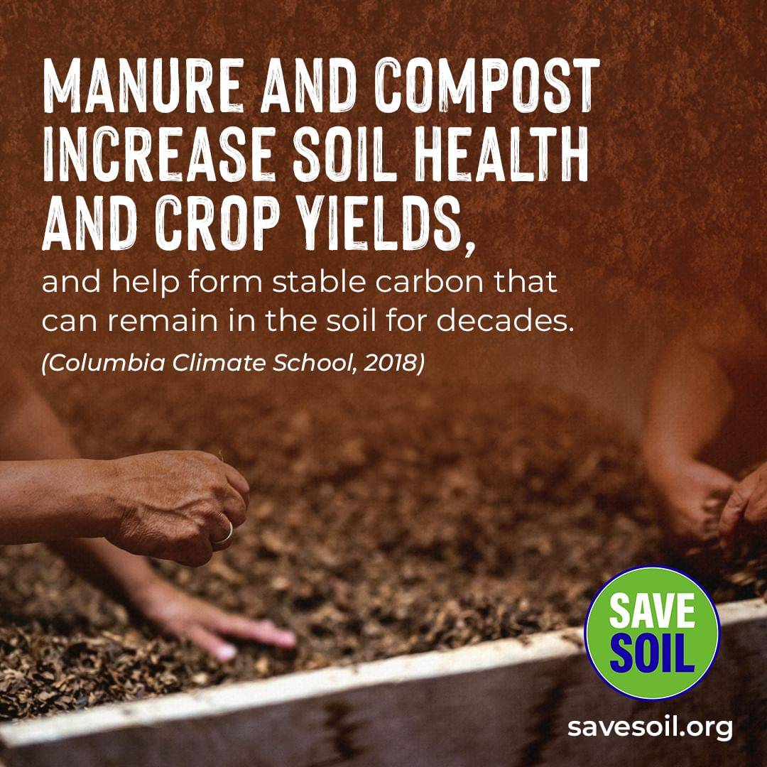 thvarithasree's tweet photo. I am on my journey to #SaveSoilWithWords with Sadhguru. I am on level 96/100 and have traveled 25150 Km so far.
To Download the app: https://t.co/C6wUMKJem4
To know about #SaveSoil, visit https://t.co/wJvOXfss9Z
⚫🌼⚫⚫⚫
⚫⚫🌼⚫🌳
⚫⚫⚫🌼🌳
🌳🌳🌳🌳🌳 https://t.co/EfIyFXCr5L