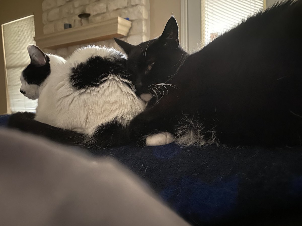 Kenneth Bassham tweet media