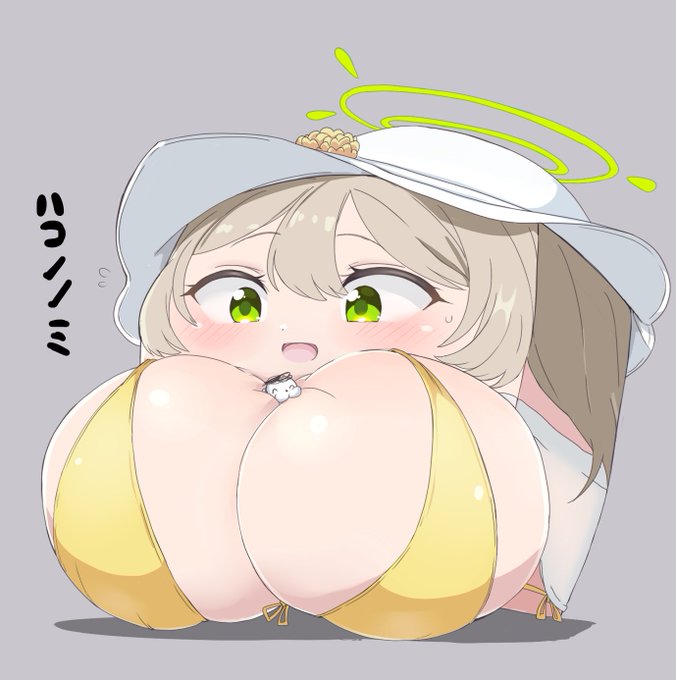 久々お題箱「おっ〇い箱化したブル〇カの水着ノ〇ミちゃんお願いします」より
やはりおちちは描いてて心が洗われるので深夜投稿です・・・(˘ω˘) 