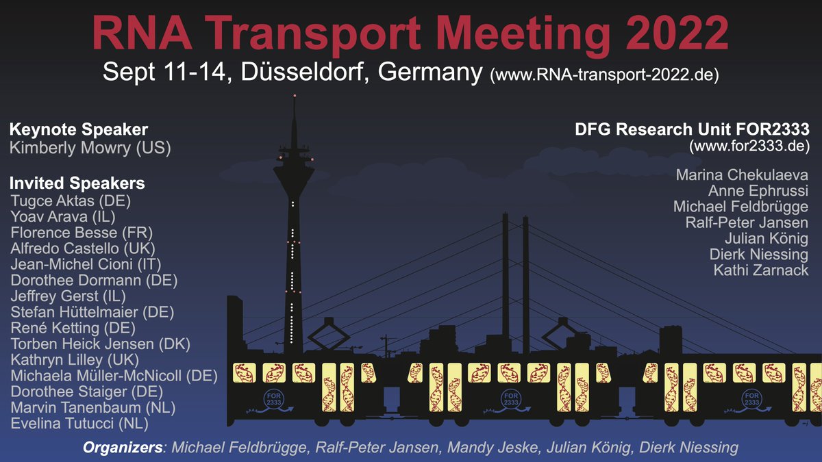 Mandy Jeske (@jeske_lab) on Twitter photo Register now for the #RNA Transport Meeting 2022 in Düsseldorf! We are looking forward to meeting everyone there! rna-transport-2022.de
<a href="/_taktas_/">Tugce Aktas</a> <a href="/FlorenceBesse/">Florence Besse</a> <a href="/Alf_Castello/">Alfredo Castello</a> <a href="/DormannL/">Dormann lab</a> @StefanHttelmai1 @ketting_rene <a href="/torbenheick/">Torben Heick Jensen</a> @mixmue <a href="/StaigerLab/">StaigerLab</a> @anilevetu <a href="/chekulae/">Marina Chekulaeva</a> Register now for the #RNA Transport Meeting 2022 in Düsseldorf! We are looking forward to meeting everyone there! rna-transport-2022.de
<a href="/_taktas_/">Tugce Aktas</a> <a href="/FlorenceBesse/">Florence Besse</a> <a href="/Alf_Castello/">Alfredo Castello</a> <a href="/DormannL/">Dormann lab</a> @StefanHttelmai1 @ketting_rene <a href="/torbenheick/">Torben Heick Jensen</a> @mixmue <a href="/StaigerLab/">StaigerLab</a> @anilevetu <a href="/chekulae/">Marina Chekulaeva</a>
