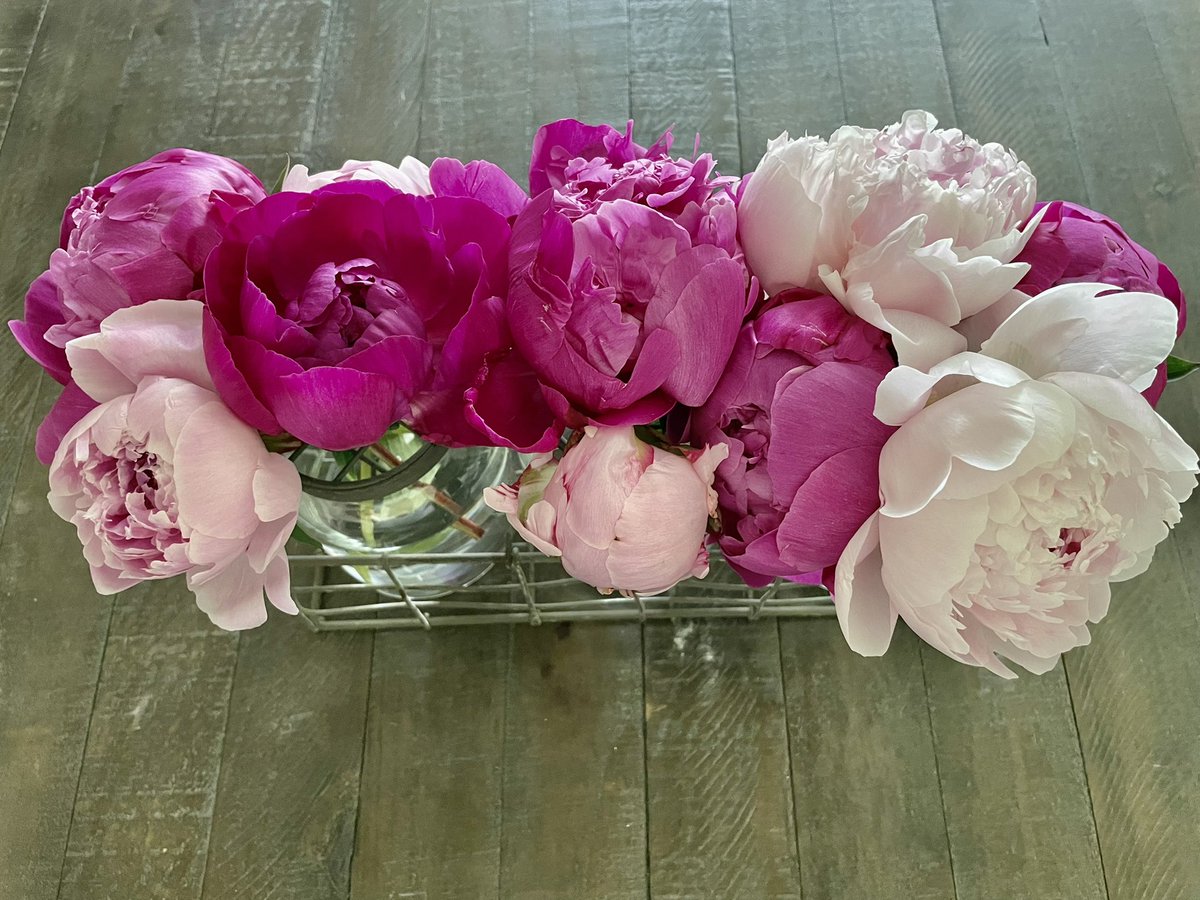 beth Wargo tweet media