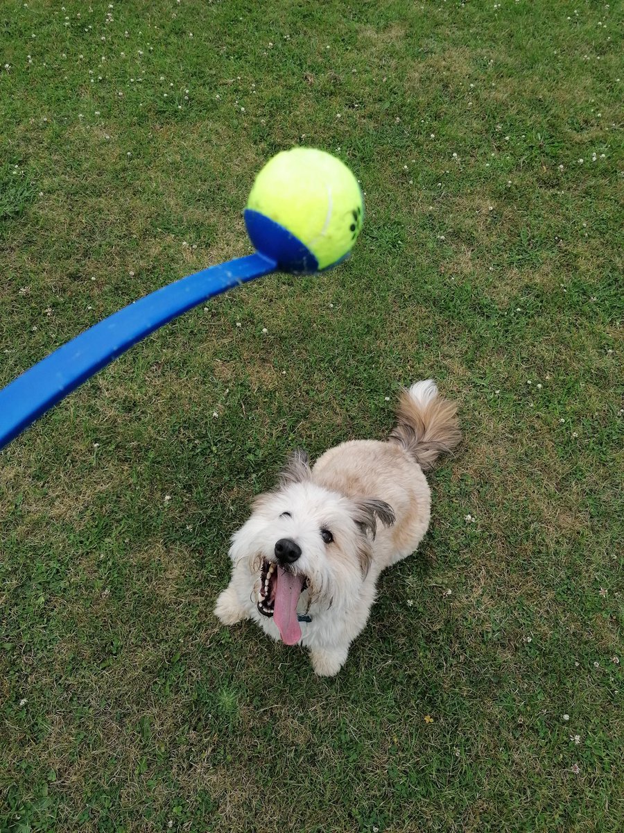 ball_helen's tweet photo. Life can't get any better for @splashyball25 https://t.co/6jCdQ6x2J7