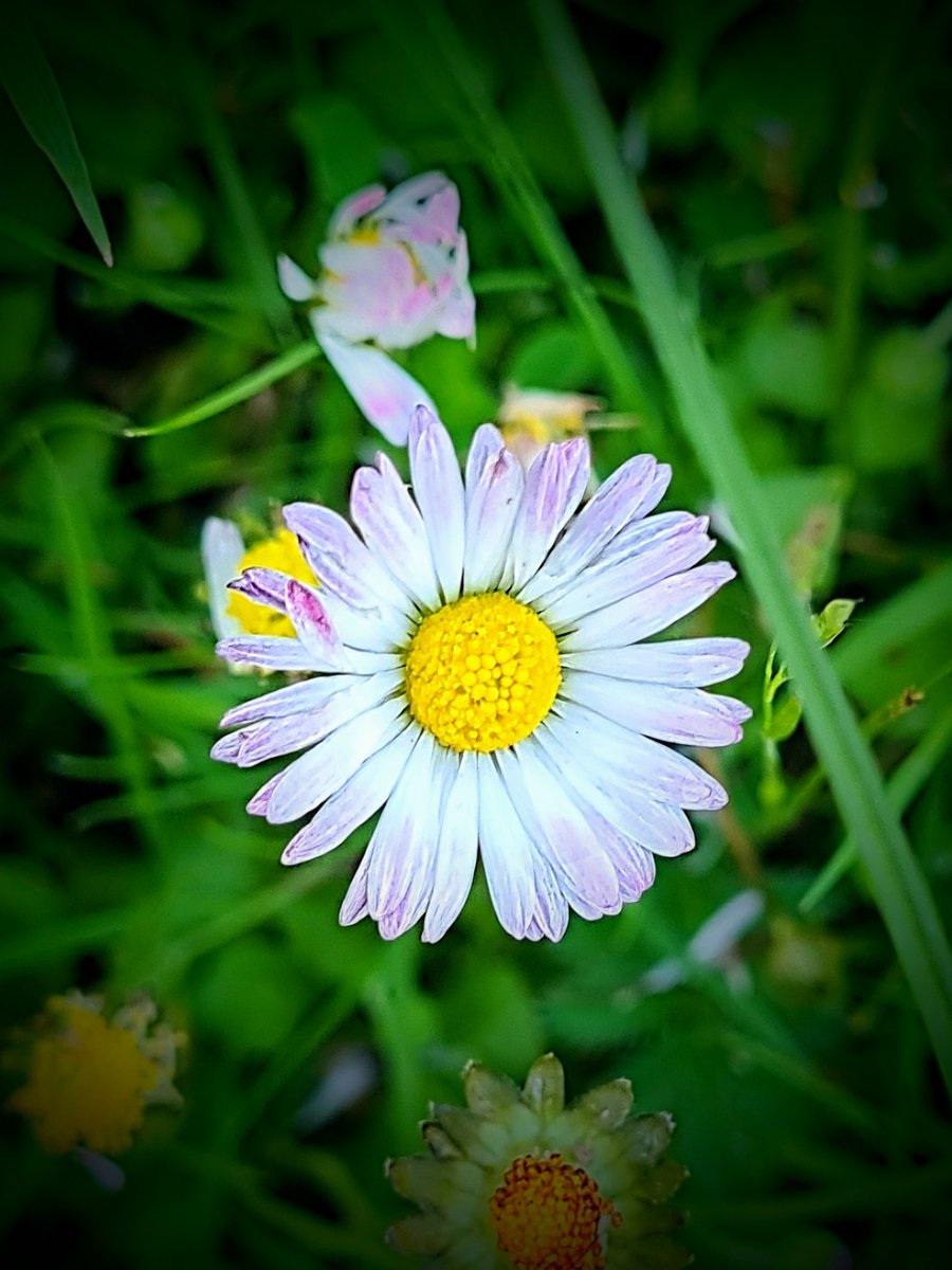 Hyvää Juhannusta tutuille ja tuntemattomille sekä kaikille niille, jotka varmistavat meidän turvallisen juhannuksen. <a href="/KUpelastus/">Keski-Uudenmaan pelastuslaitos</a> <a href="/IUPELA/">Itä-Uudenmaan pelastuslaitos</a> <a href="/lupelastus/">L-U pelastuslaitos</a> <a href="/stadinbrankkari/">Helsingin kaupungin pelastuslaitos</a> @IUPoliisi @LUpoliisi @HelsinkiPoliisi