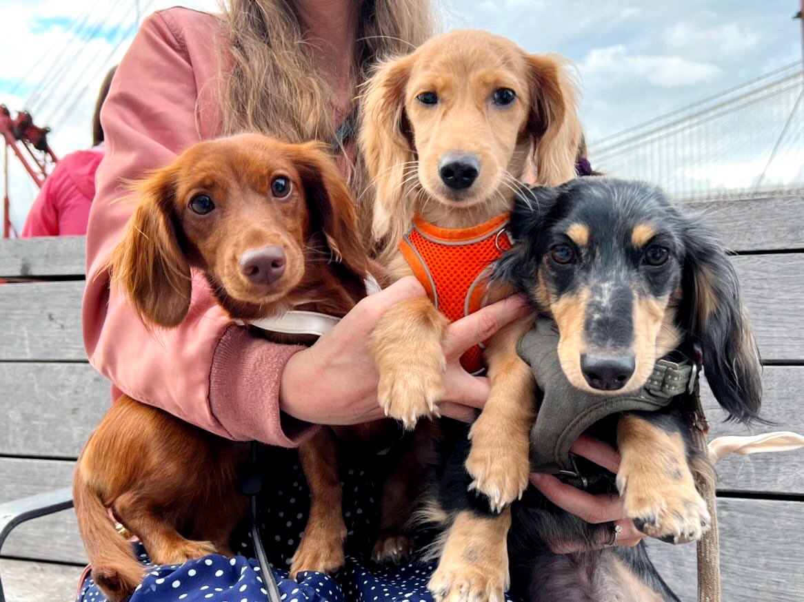 What’s better than a Hushpuppy, Beignet &amp; Rigatoni?!