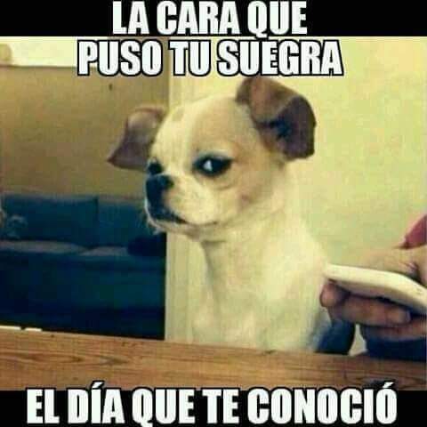 joseparedes75's tweet photo. https://t.co/wmDP5O5jm2