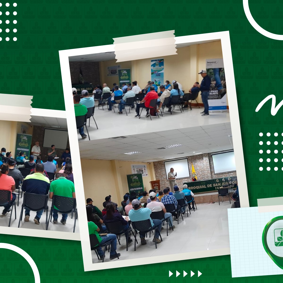 FarmagroEc's tweet photo. Tuvimos un gran día de aprendizaje en conjunto al GAD PARROQUIAL de #SanJuan con nuestros #AgricultoresBananeros de la zona, a quienes demostramos la eficacia de nuestro producto #ADMF, para controlar las enfermedades como el Moko en el cultivo.

#ElCompadreDelAgro https://t.co/BamdcB8fQ2