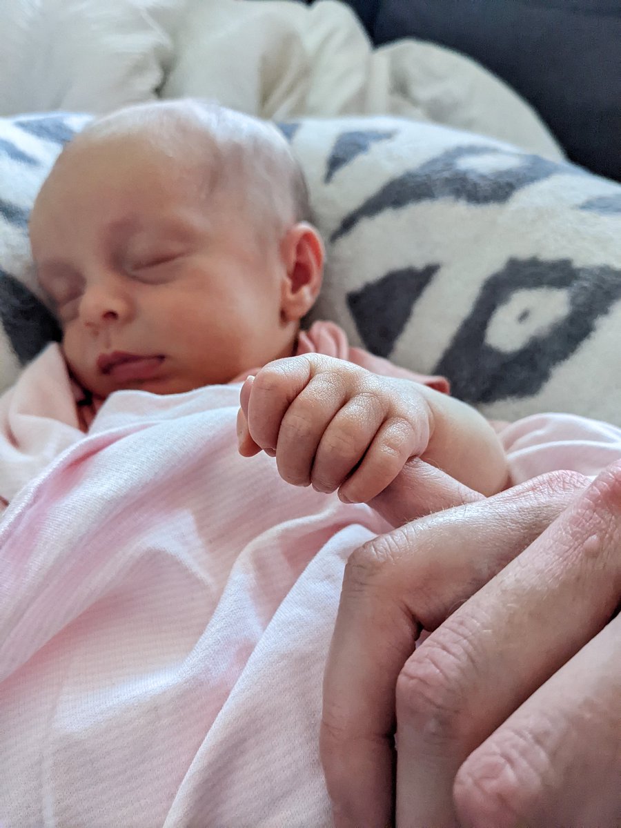 MrFTMx's tweet photo. I got to spend time with my nibbling yesterday. Remi is so small and adorable, babies are just so innocent. 💚💚💚 https://t.co/Q2u82eHUzV