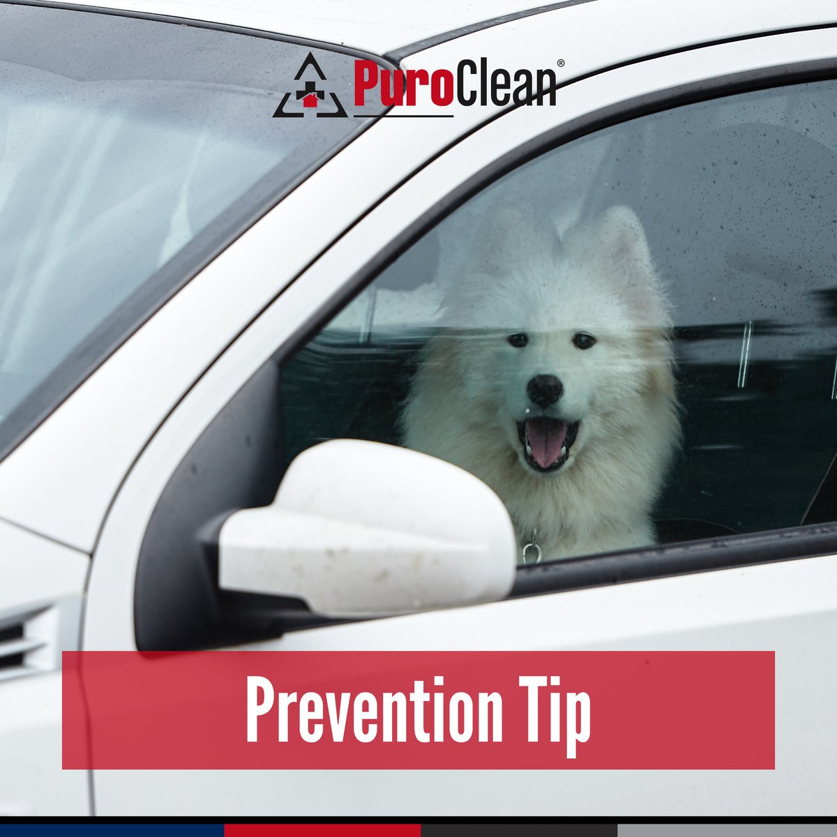 Before locking up your car, check for any children or pets that may have been left behind. A car’s interior can reach dangerous degrees even in moderate weather.

#CarSafety #Awareness #Safety