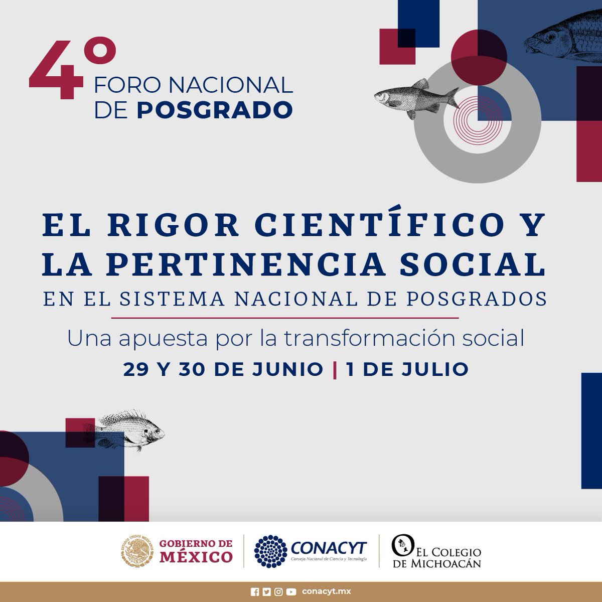 Secihti_Mx's tweet photo. En el 4° Foro Nacional de Posgrados se discutirá acerca de cómo fortalecer la formación académica de las nuevas generaciones de científicas y científicos mexicanos.  

🗓️ 29 y 30 de junio y 1 de julio de 2022 
  
Más información ➡️ https://t.co/uR5nCukUtA https://t.co/GpjcJts9UD