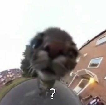 Y si la pr&oacute;xima semana hago stream irl e intento terminar la maqueta que nunca termin&eacute;? https://t.co