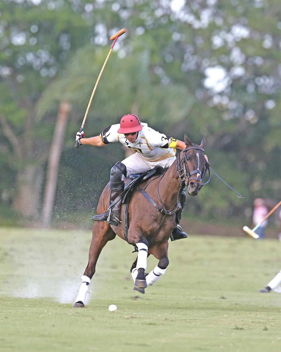 PalmBeachEquine's tweet photo. We’re excited to share that #PBEC’s Dr. Janet Greenfield will be featured in USPA's Polo Spotlight in August! The article will cover the benefits of acupuncture treatments for horses and how it can help with a variety of ailments! 

Pc: Alex Pacheco https://t.co/IkfEexWDwz