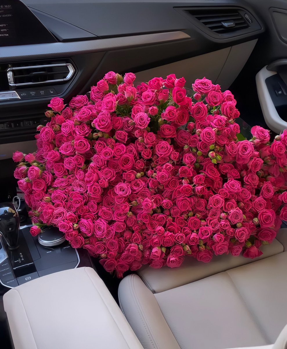 çiçek günlüğü (@cicekgunlugu) on Twitter photo 