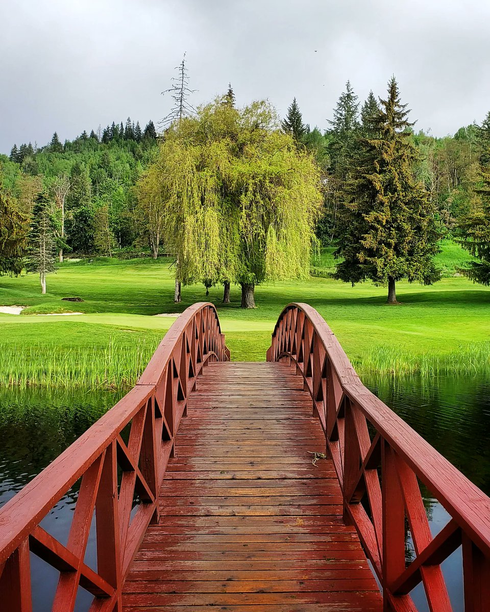 Dax Justin (@daxjustin) on Twitter photo The ever-gorgeous views from Rossland, BC. I spent some time hauling myself around the golf course looking for bears (that's where some of the tastiest fruits and trees are, says the bears). π»β°
#FeelsAlive
<a href="/Rosslander/">Rosslander</a> #rossland <a href="/HelloBC/">Destination BC</a> #explorebc The ever-gorgeous views from Rossland, BC. I spent some time hauling myself around the golf course looking for bears (that's where some of the tastiest fruits and trees are, says the bears). π»β°
#FeelsAlive
<a href="/Rosslander/">Rosslander</a> #rossland <a href="/HelloBC/">Destination BC</a> #explorebc